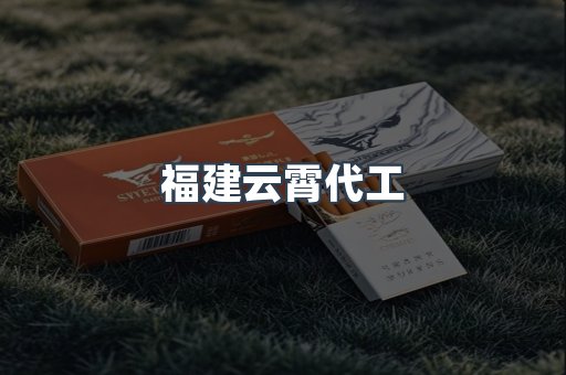 福建云霄代工